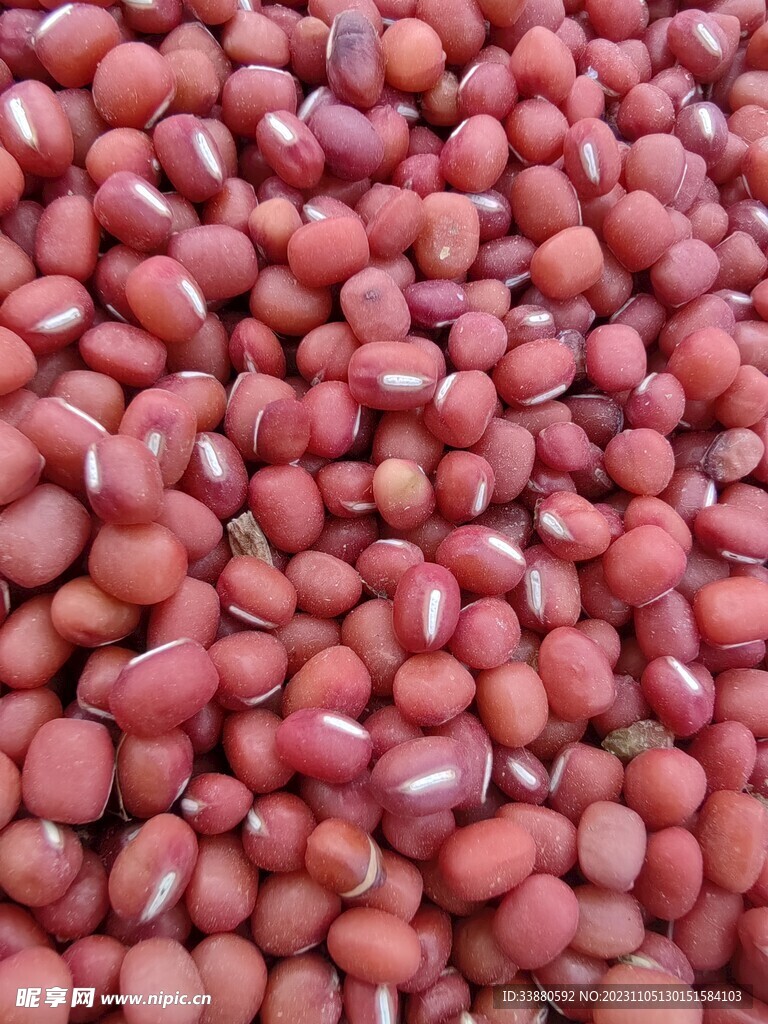红豆