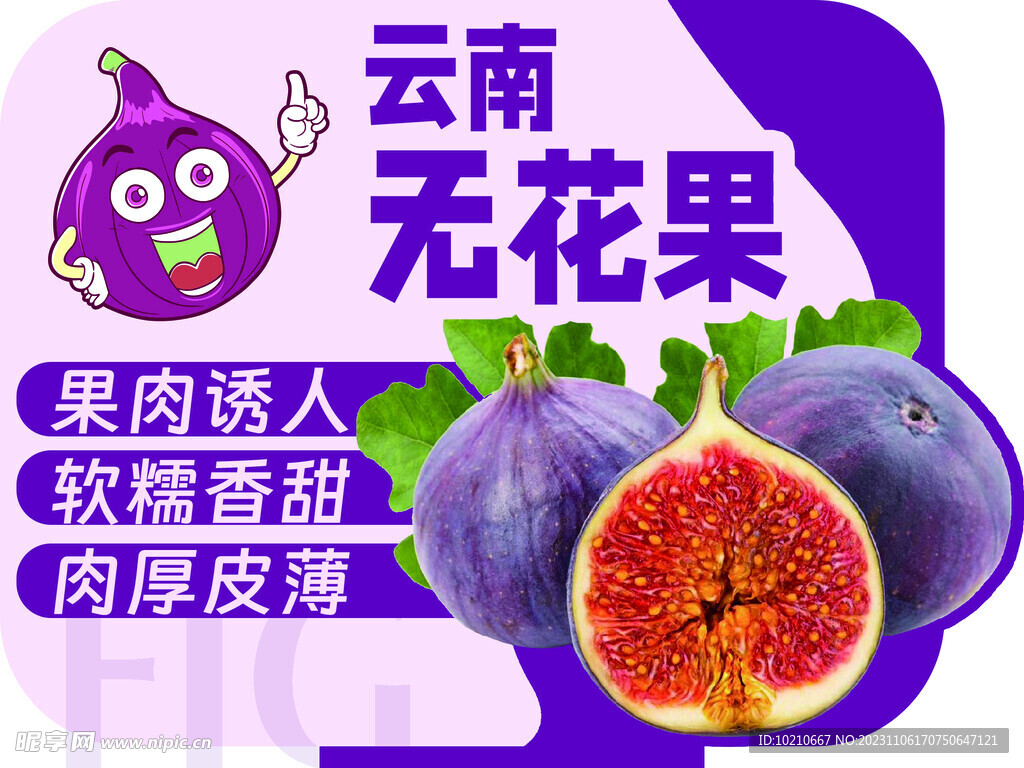 云南無花果