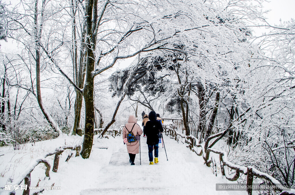 黄山雾凇雪景冬天下雪