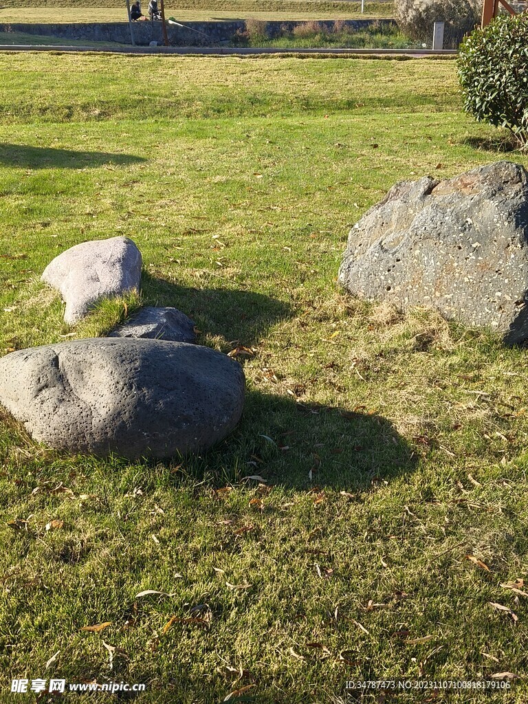 坐落在草坪的石头