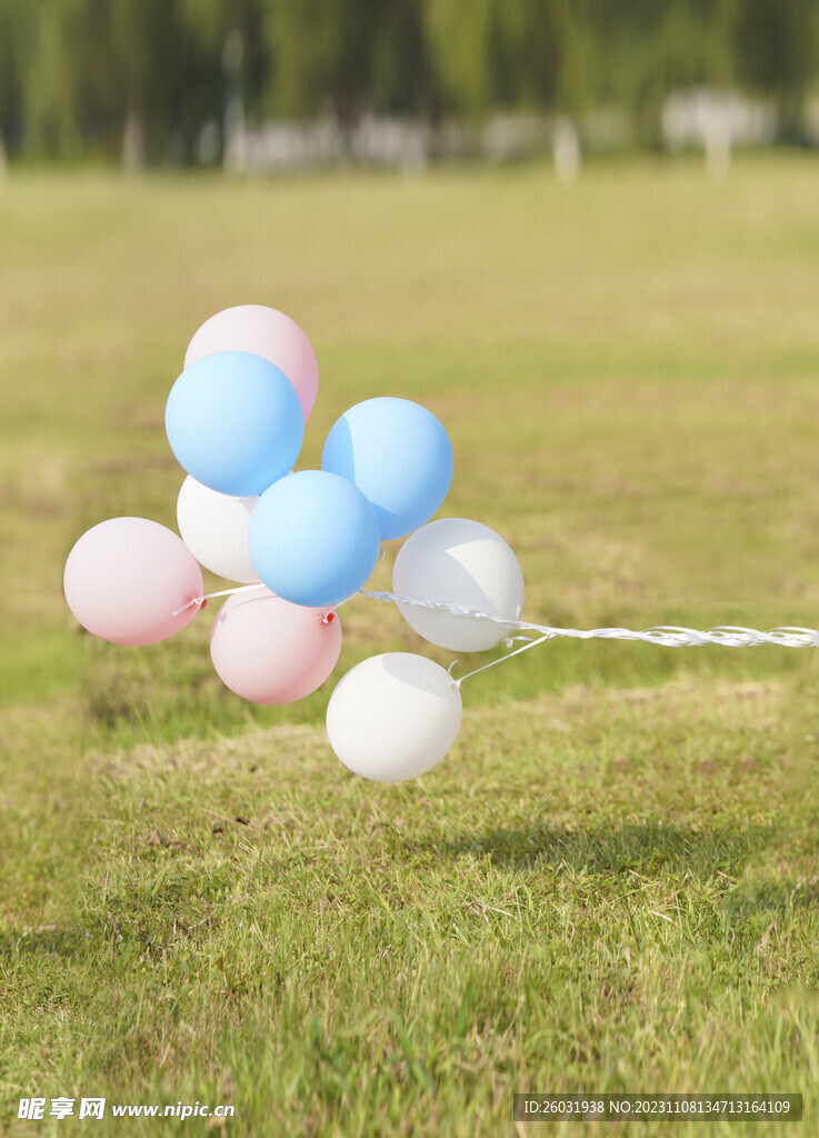 草坪上的气球