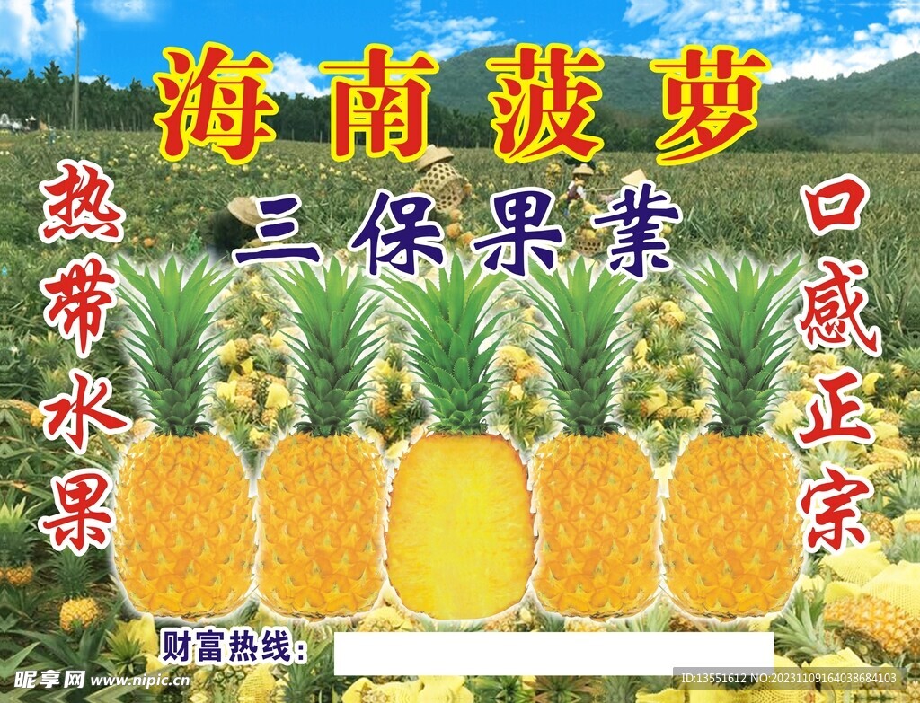 海南菠萝