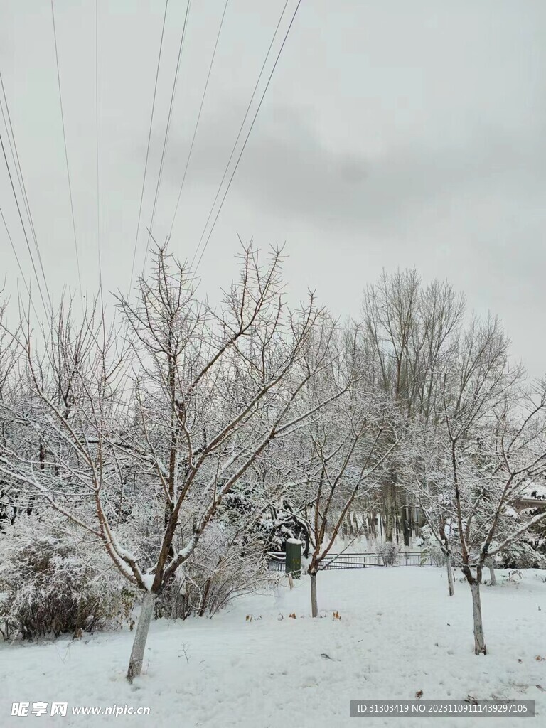 漫天雪白