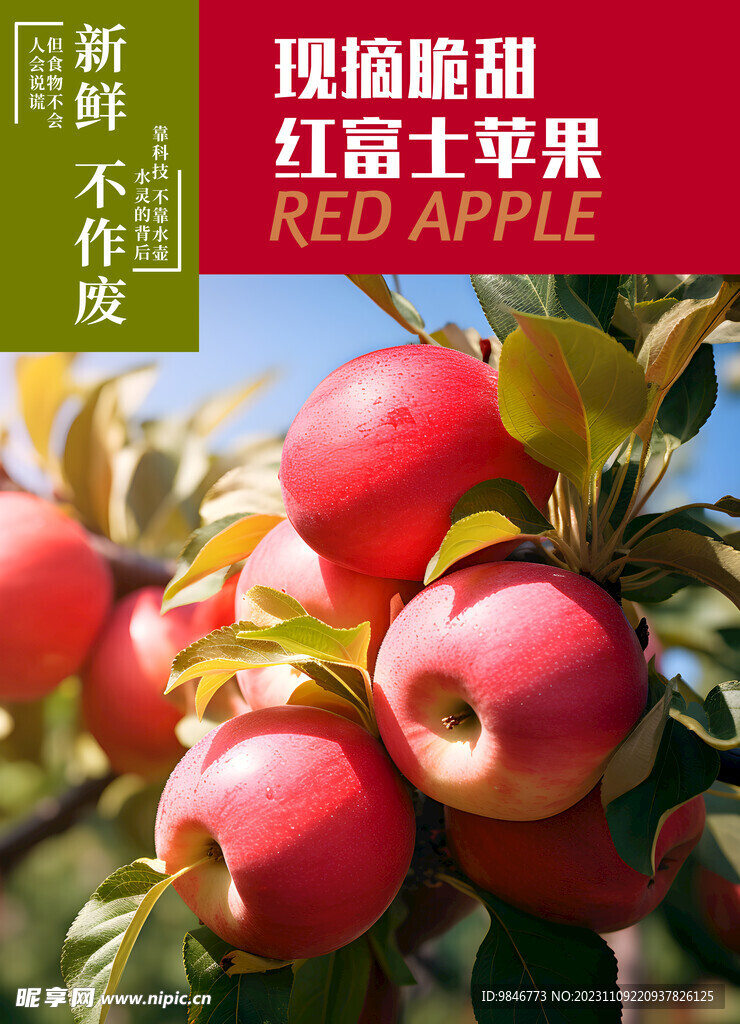 苹果 红富士海报