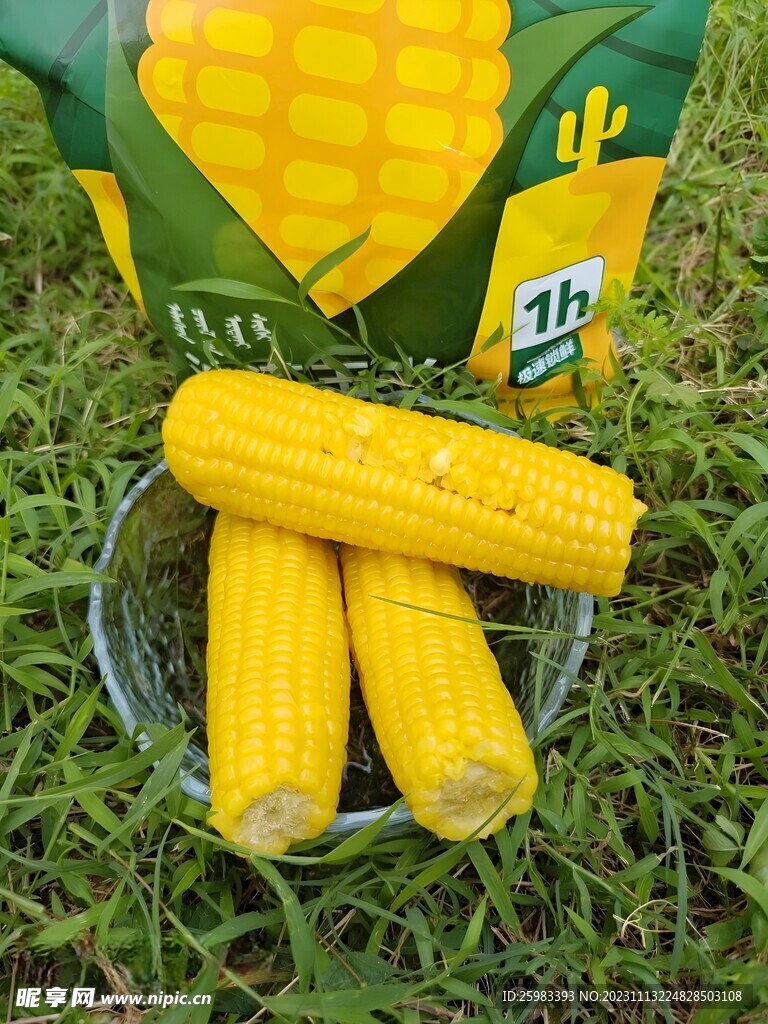 糯玉米