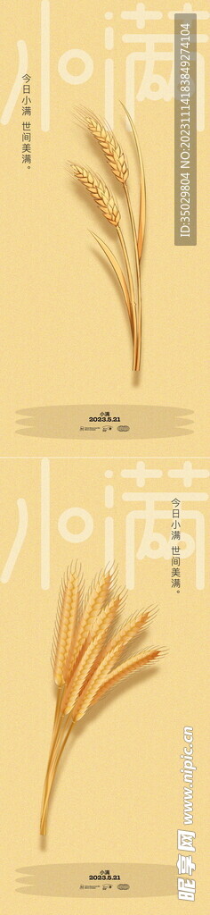 小滿(mǎn)節(jié)氣