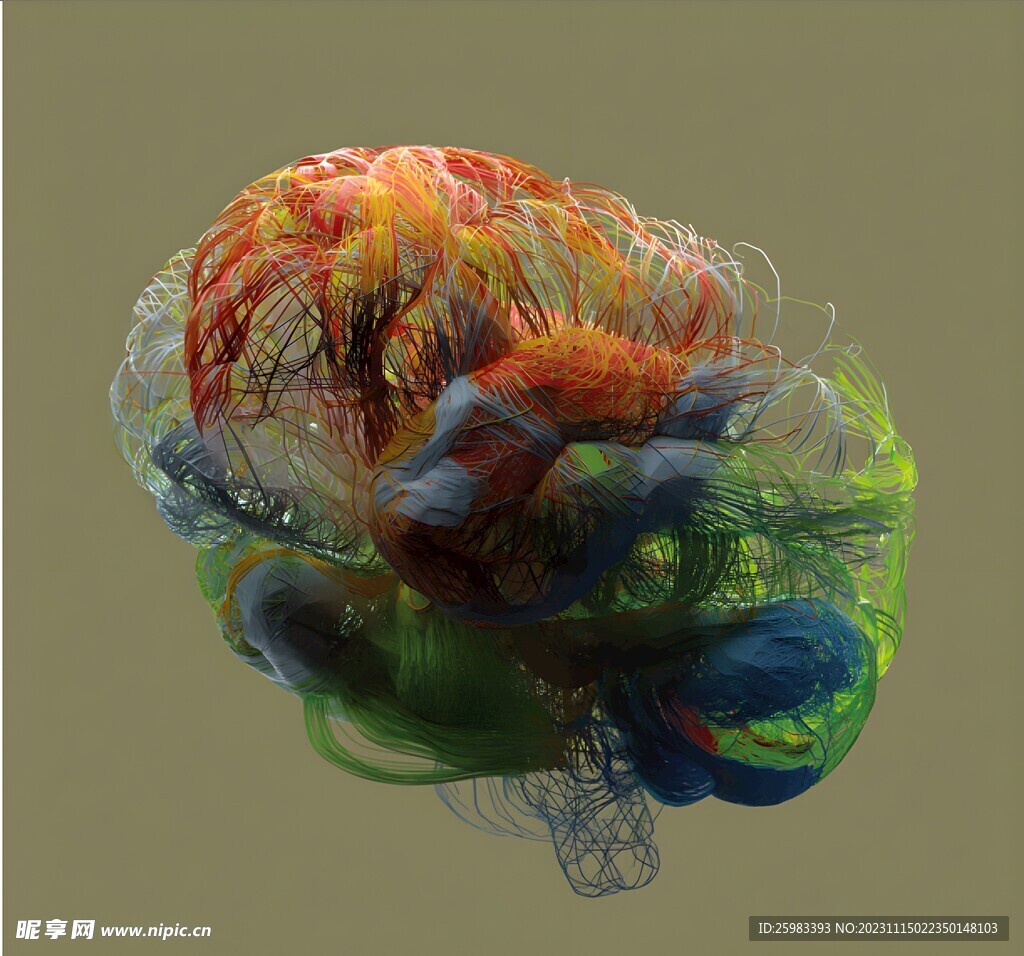 大脑神经网络