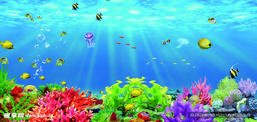 海洋