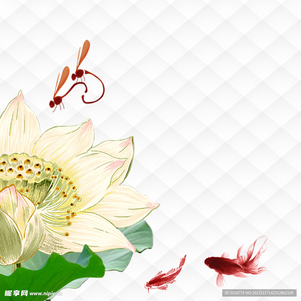 荷花鯉魚圖