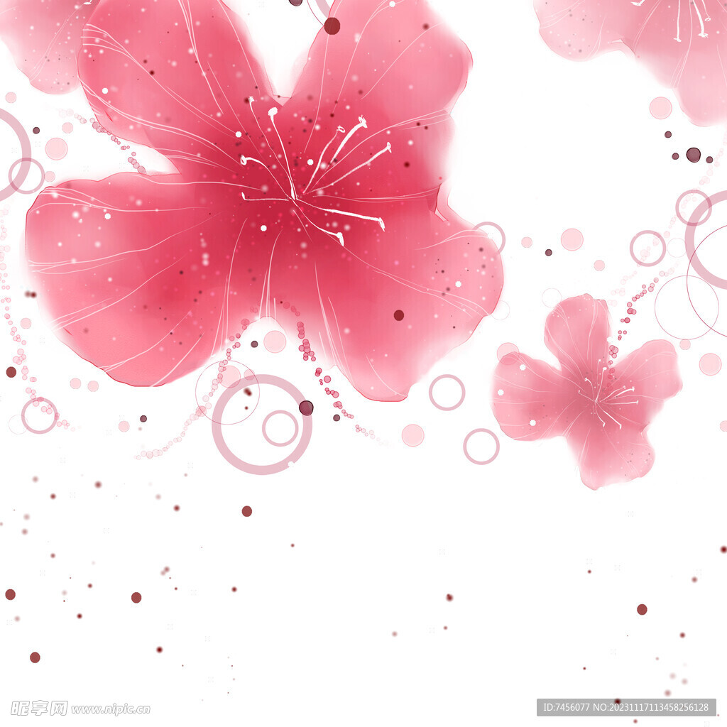 唯美粉色花瓣花朵挂画装饰画