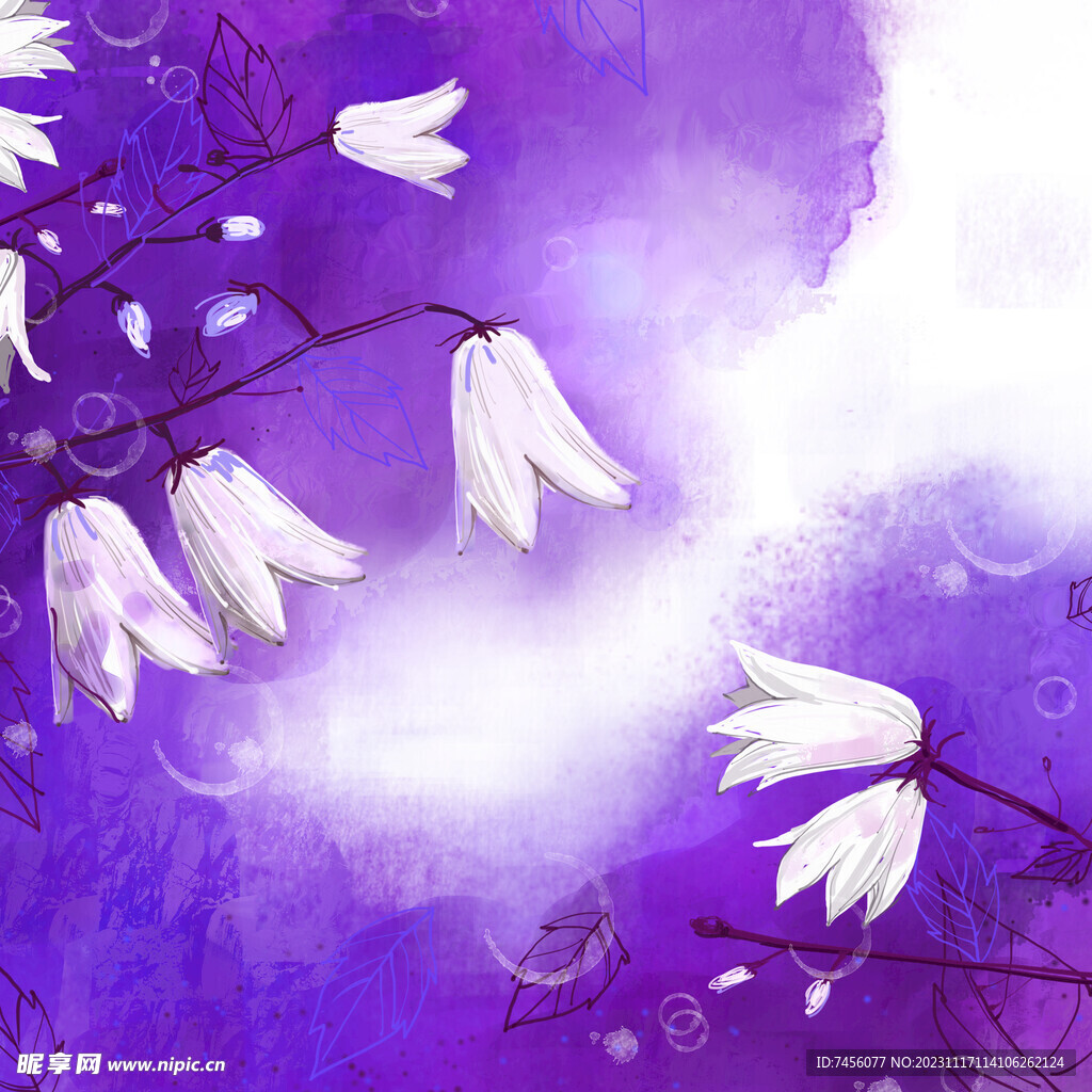 紫色喇叭花挂画