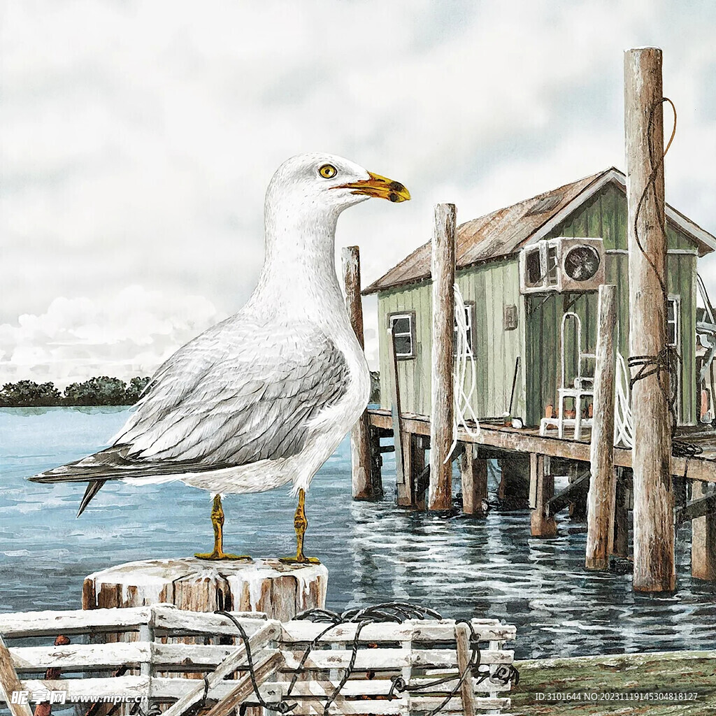 海鸥数码油画