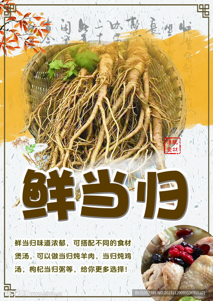 鮮當歸