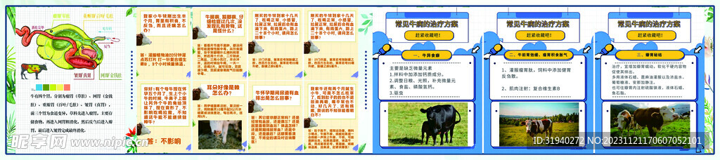 家禽動物
