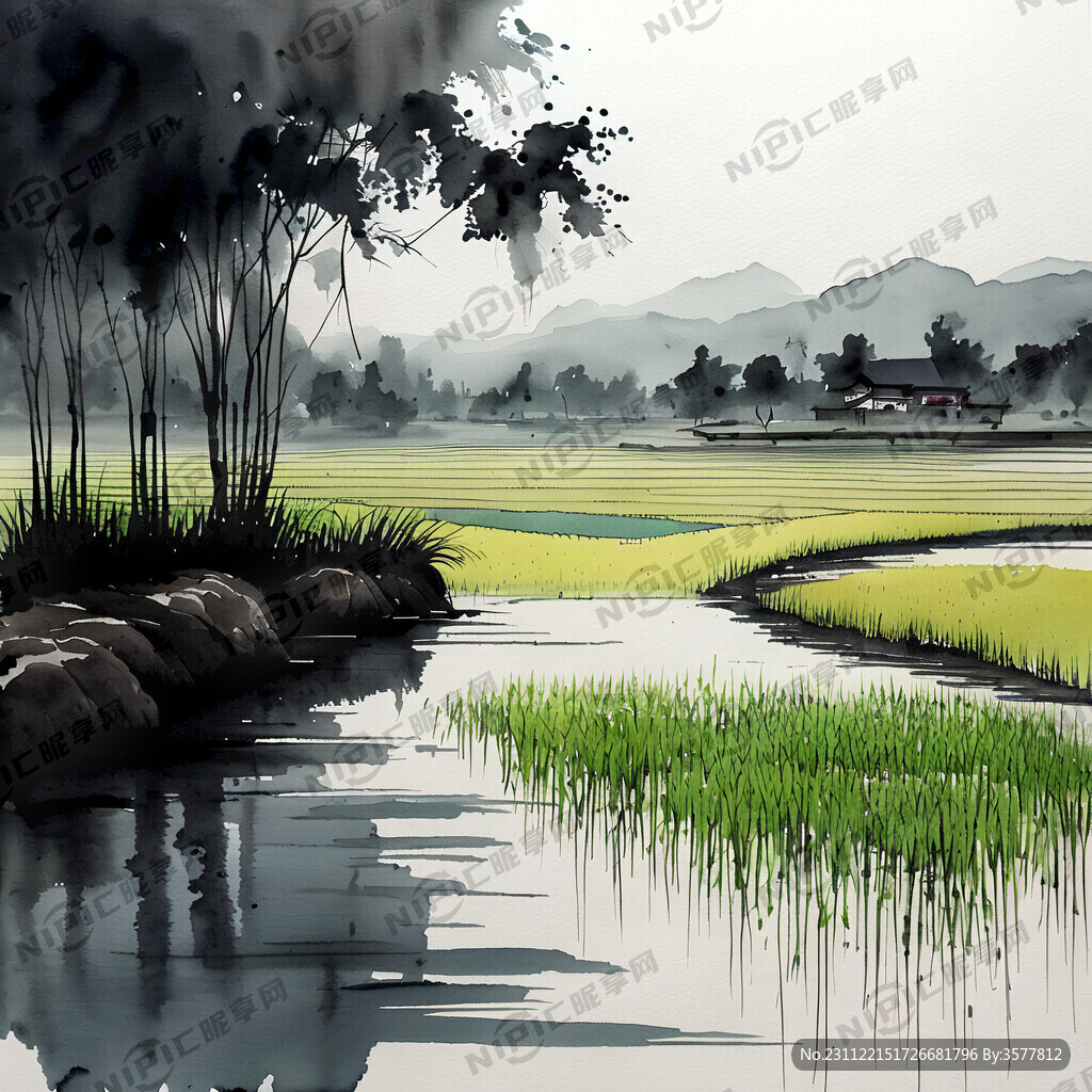 田野 插秧
