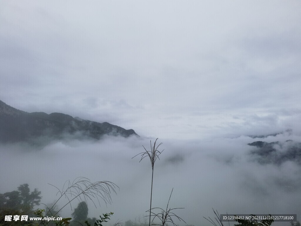 山谷云雾
