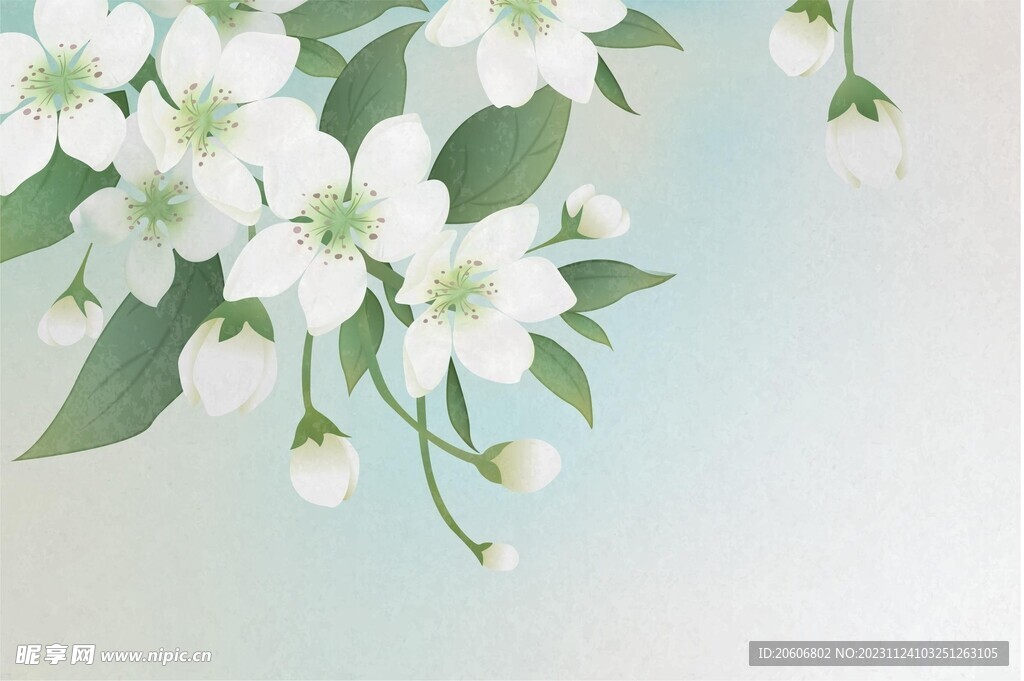 中國風梨花插畫