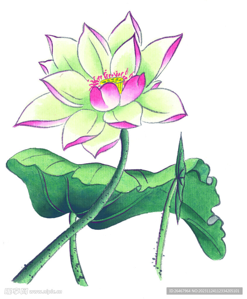 荷