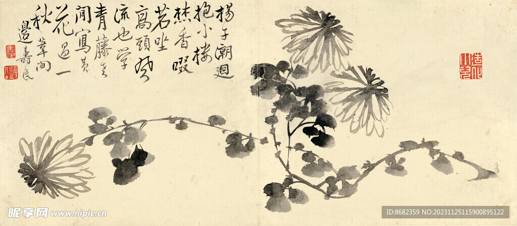 清 邊壽民 雜畫 菊花