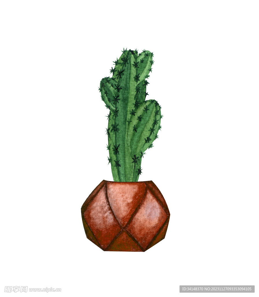 盆栽