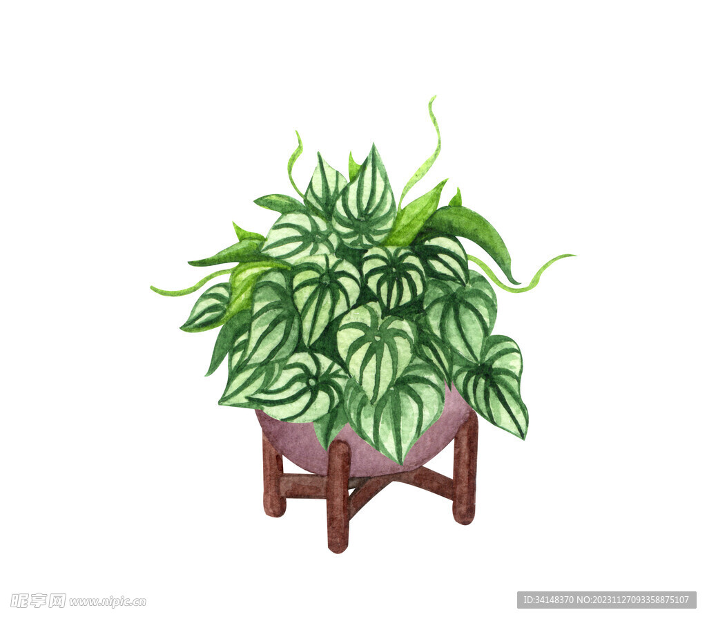 盆栽