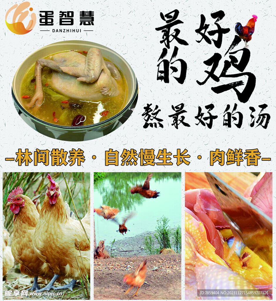 雞廣告