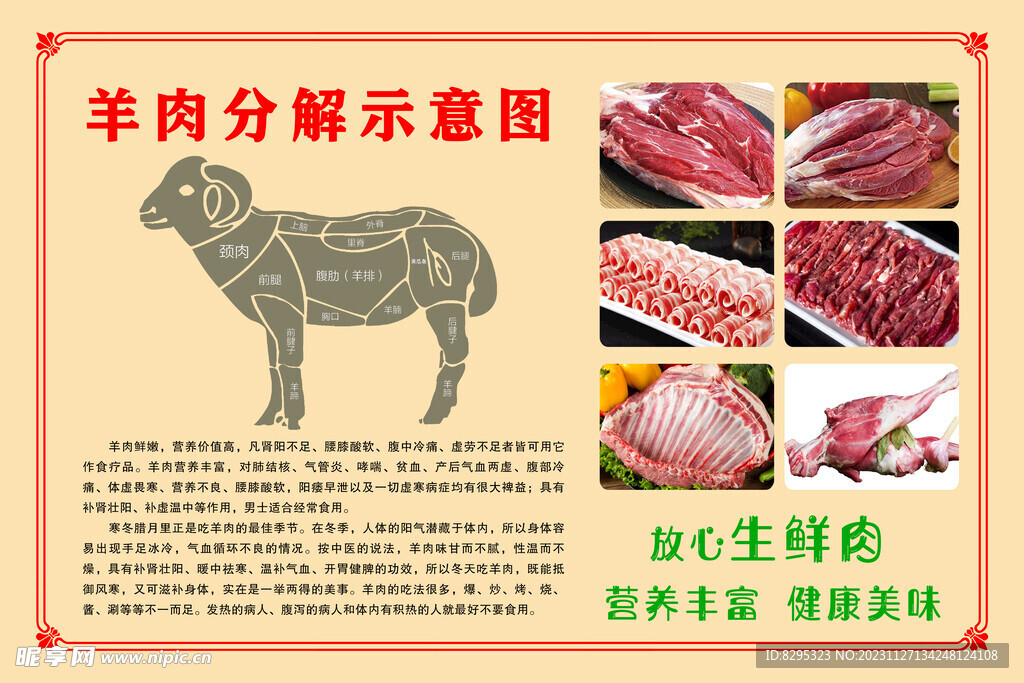 羊肉分解图