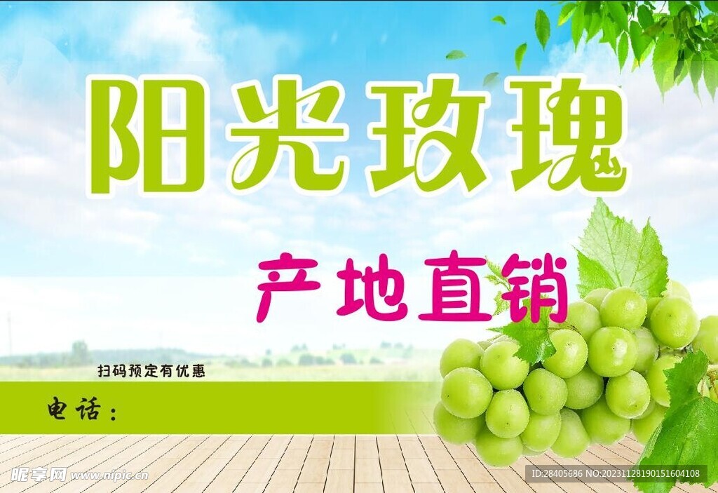 陽光玫瑰