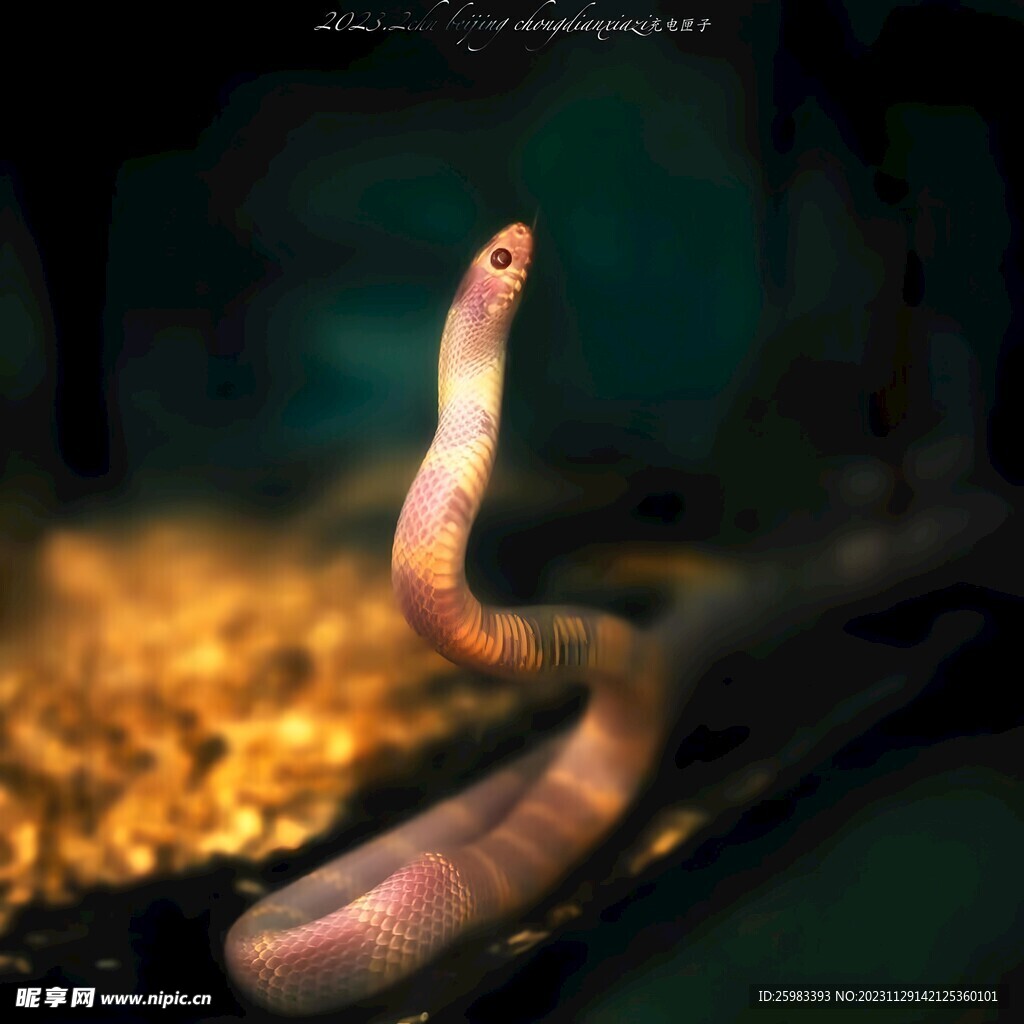 蛇