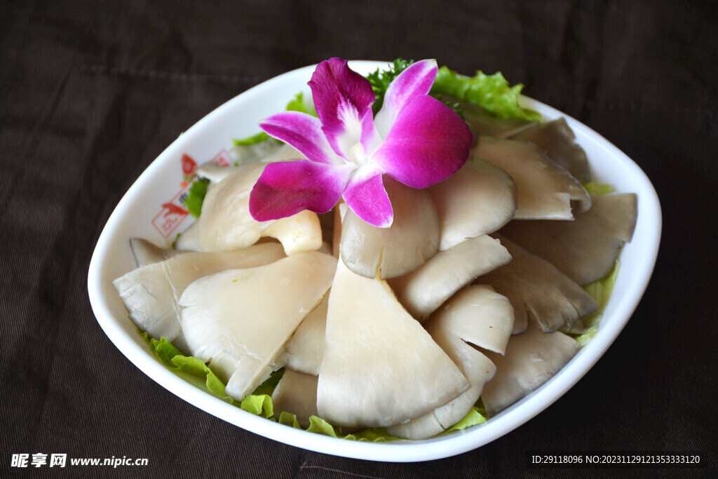 鮮平菇