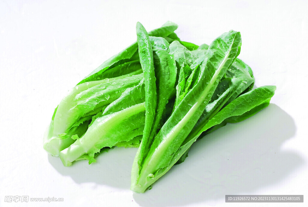 油麥菜