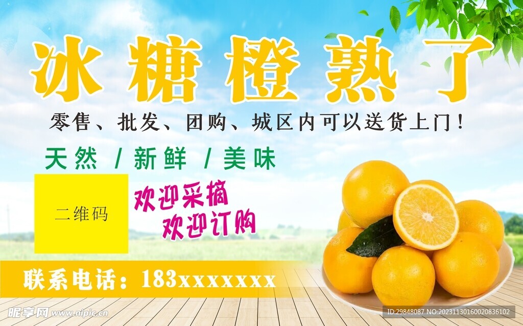 冰糖橙