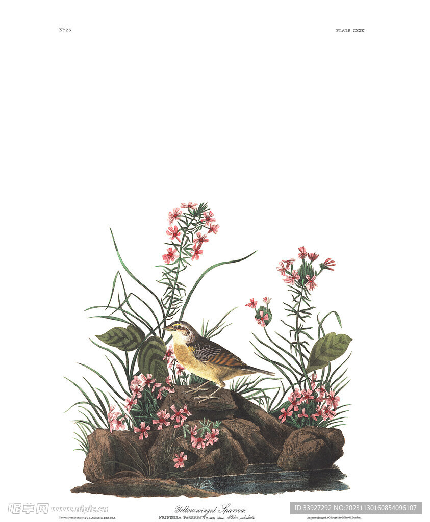 油畫