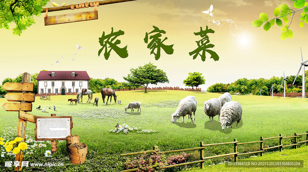 農(nóng)家菜農(nóng)場(chǎng)有機(jī)綠色科學(xué)自然