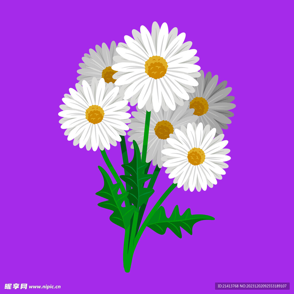 手繪小雛菊