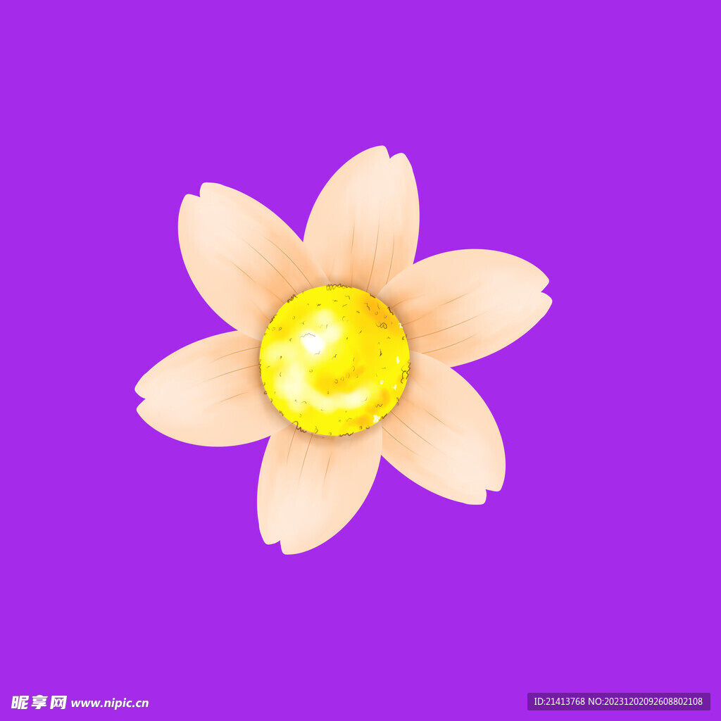 手繪小雛菊