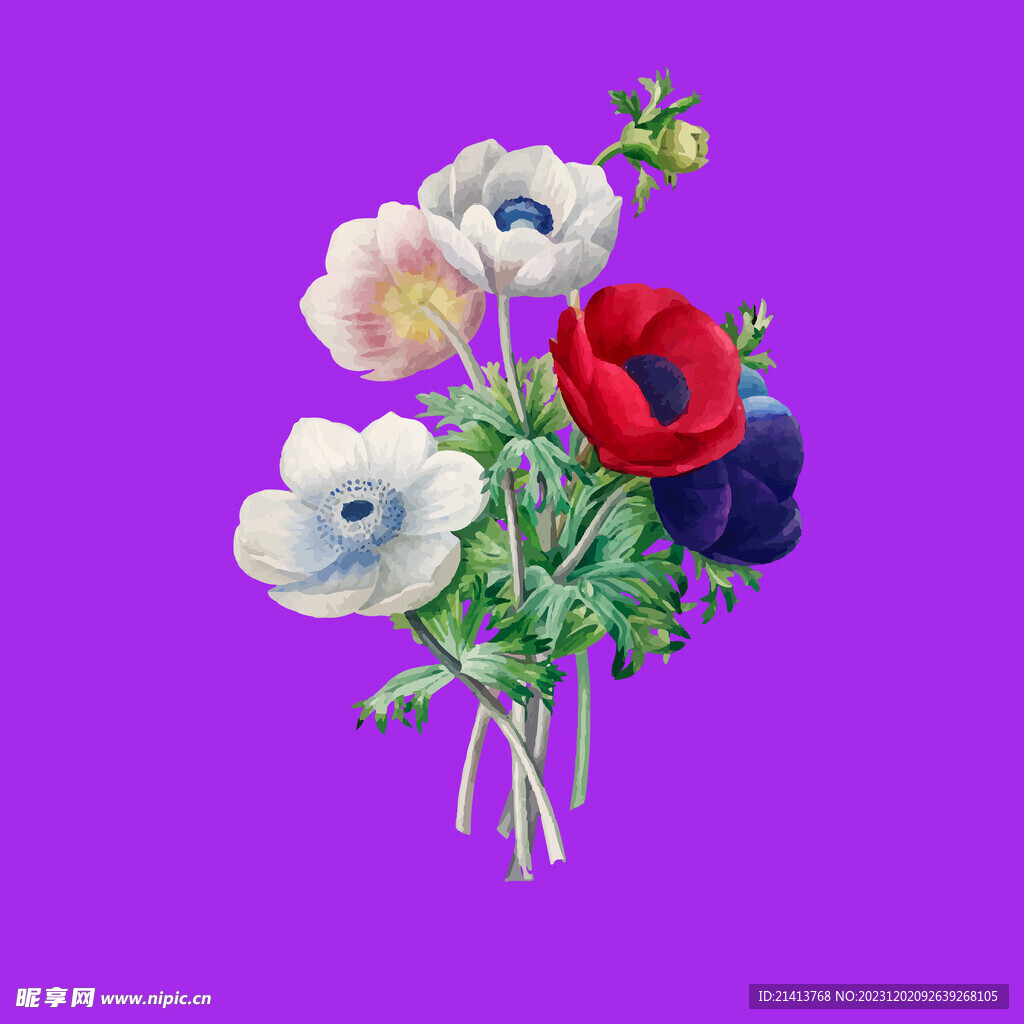 手繪小雛菊