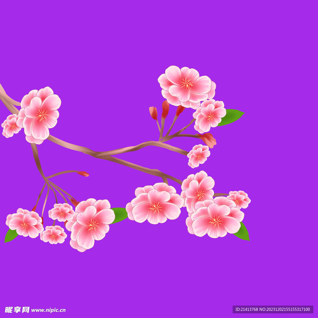 手繪櫻花桃花 