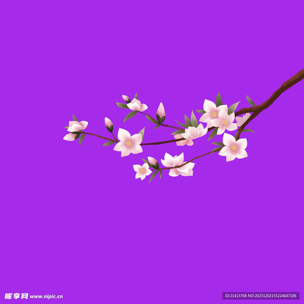 手繪櫻花桃花