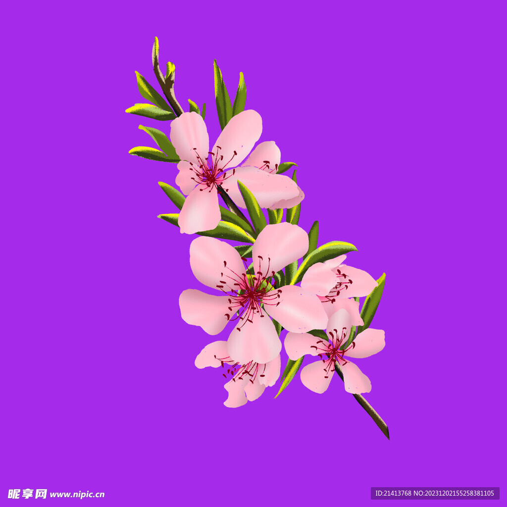 手繪櫻花桃花