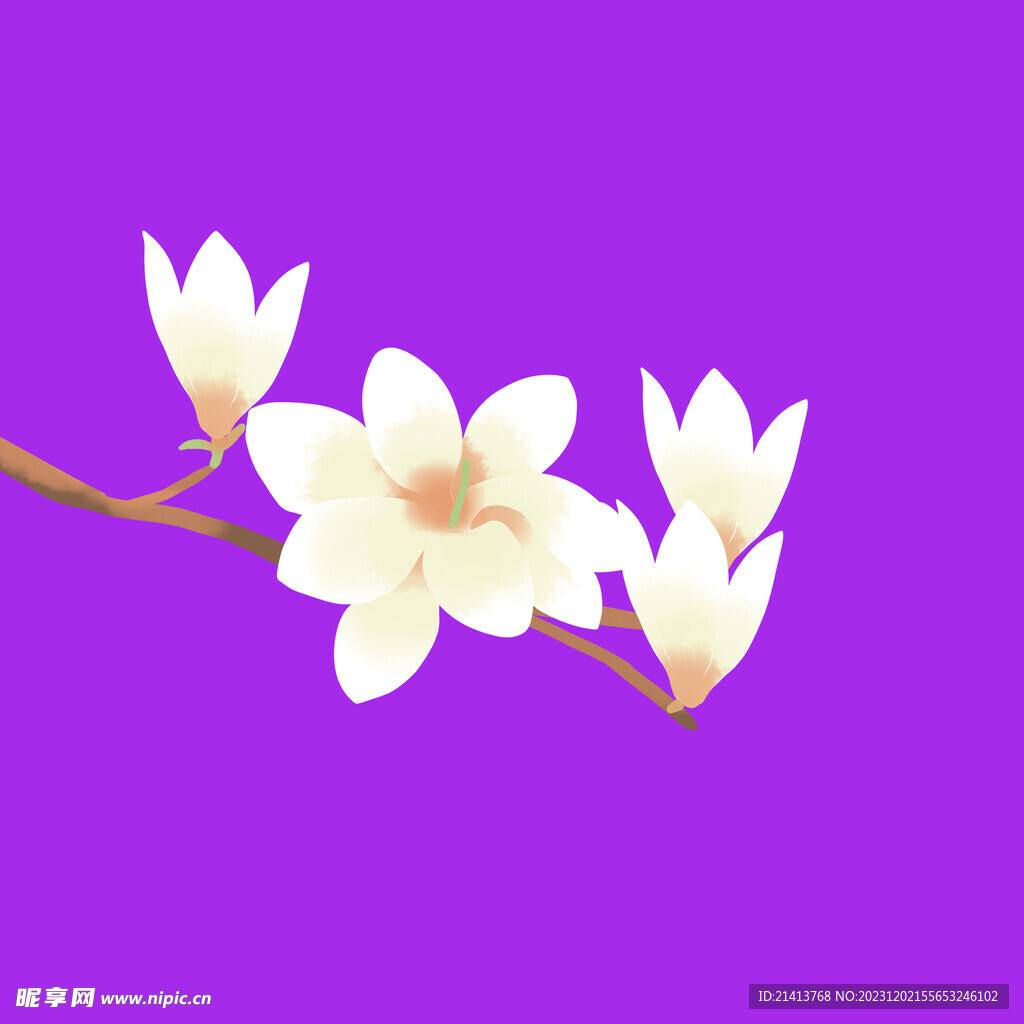 手繪木棉花