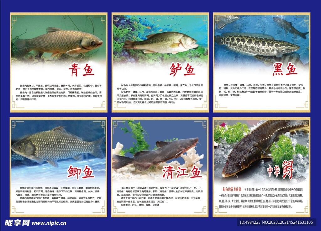 海鲜店鱼海报