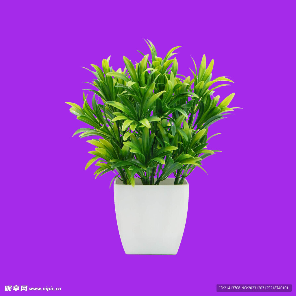 手繪綠植綠葉