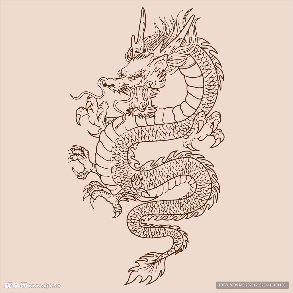 手绘中国龙版画插画