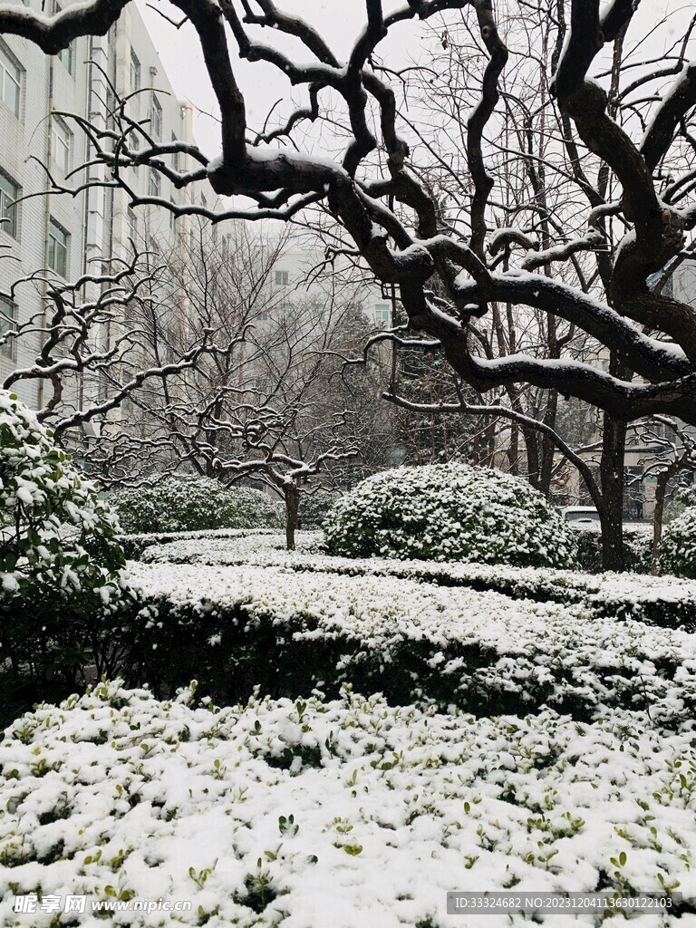 雪景