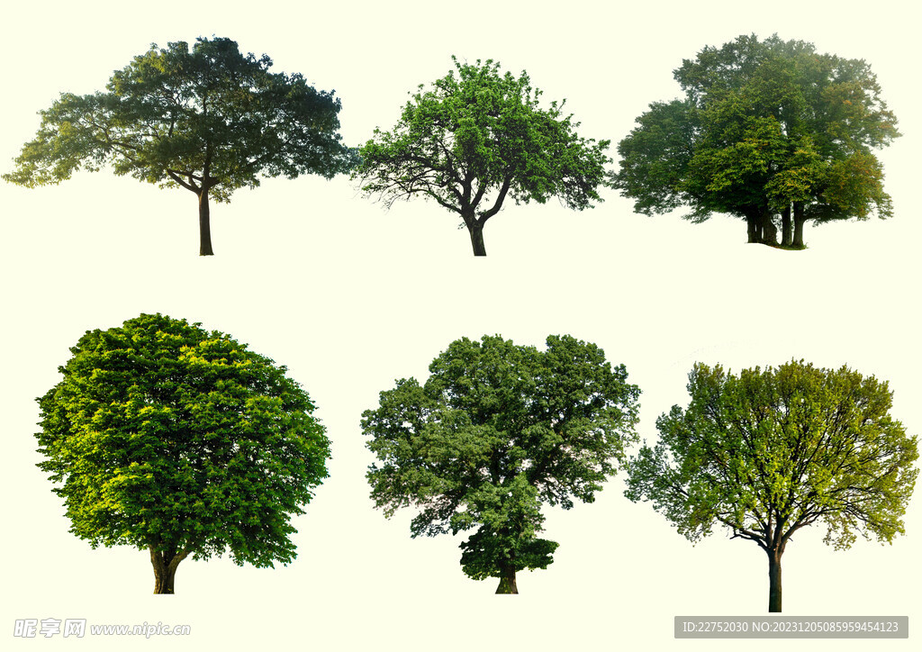 各种绿色树木景观树元素