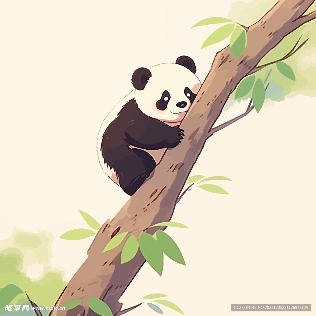 上树的大熊猫