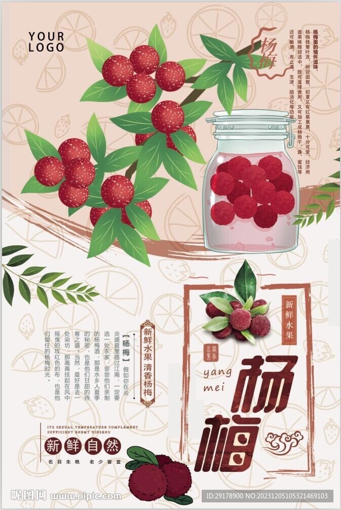 楊梅