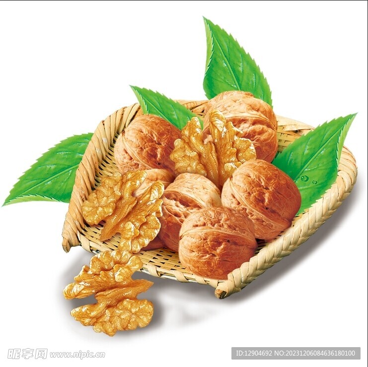 核桃白底圖