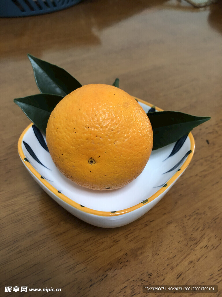 一个橙子 特写
